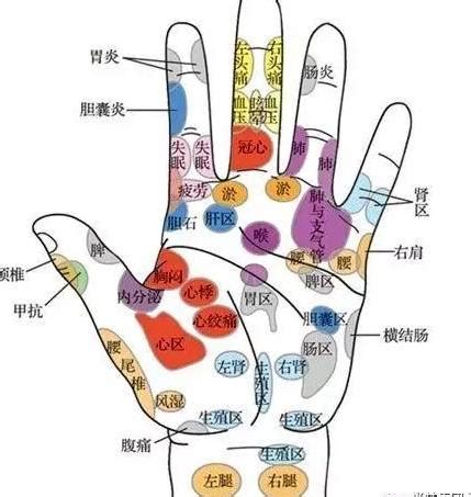 食指代表器官|看五指，知五脏，手指对应人体各个系统，赶快对照看看自己的手。